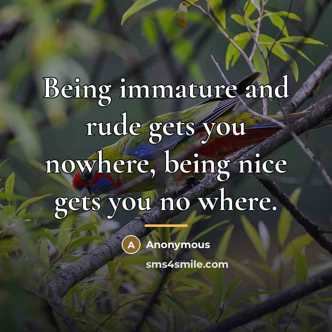 “Being immature and rude gets you nowhere, being nice gets…” quote by Anonymous
