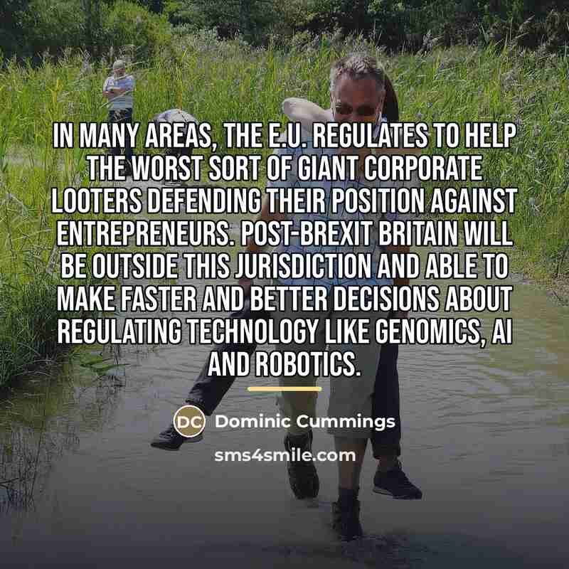 “In many areas, the E.U. regulates to help the worst…” quote by Dominic Cummings