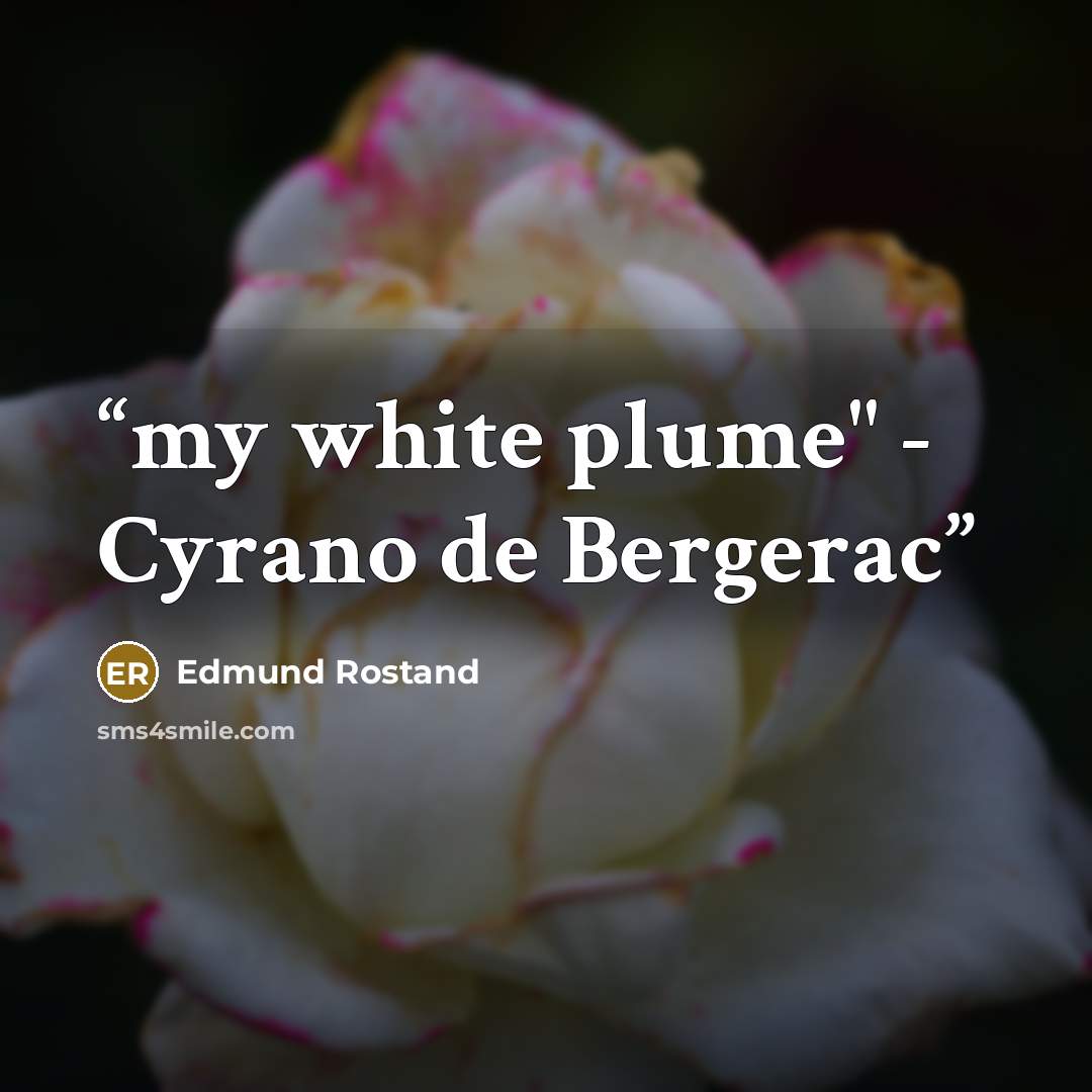 “my white plume" - Cyrano de Bergerac” quote by Edmund Rostand