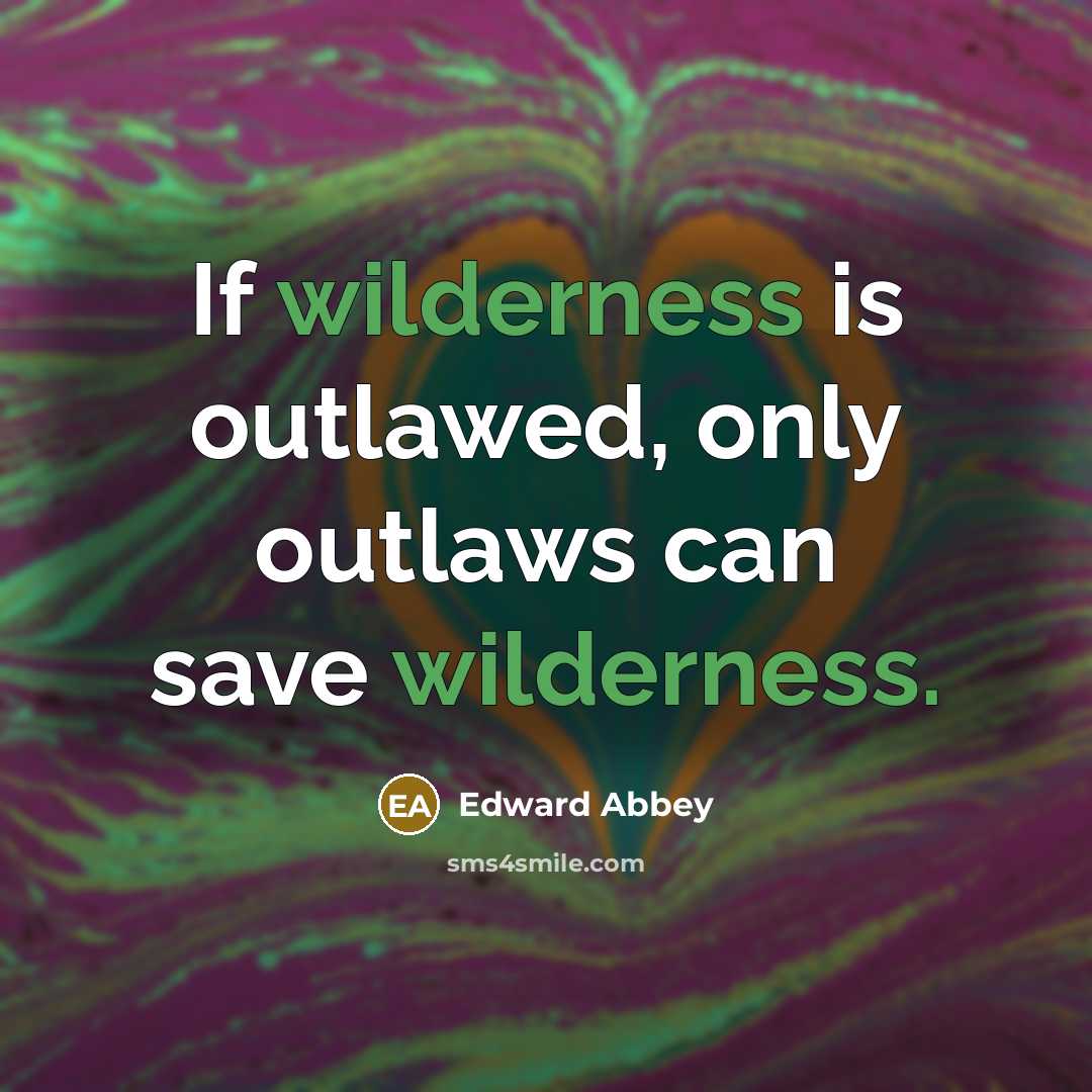 “If wilderness is outlawed, only outlaws can save wilderness.…” quote by Edward Abbey