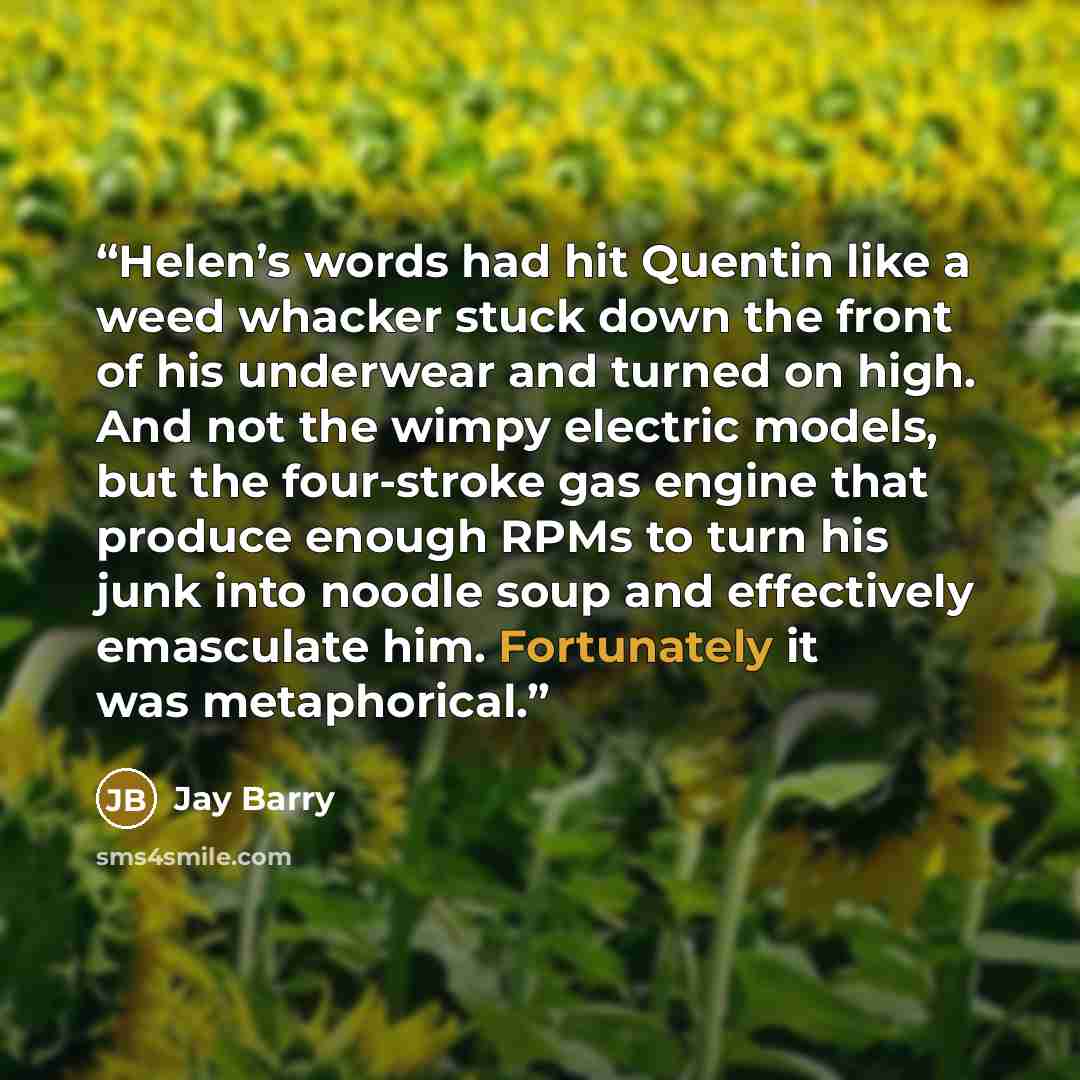 “Helen’s words had hit Quentin like a weed whacker stuck down the front of his underwear and turned on high. And not the wimpy electric models, but the four-stroke gas engine that produce enough RPMs to turn his junk into noodle soup and effectively emasculate him. Fortunately it was metaphorical.” quote by Jay Barry