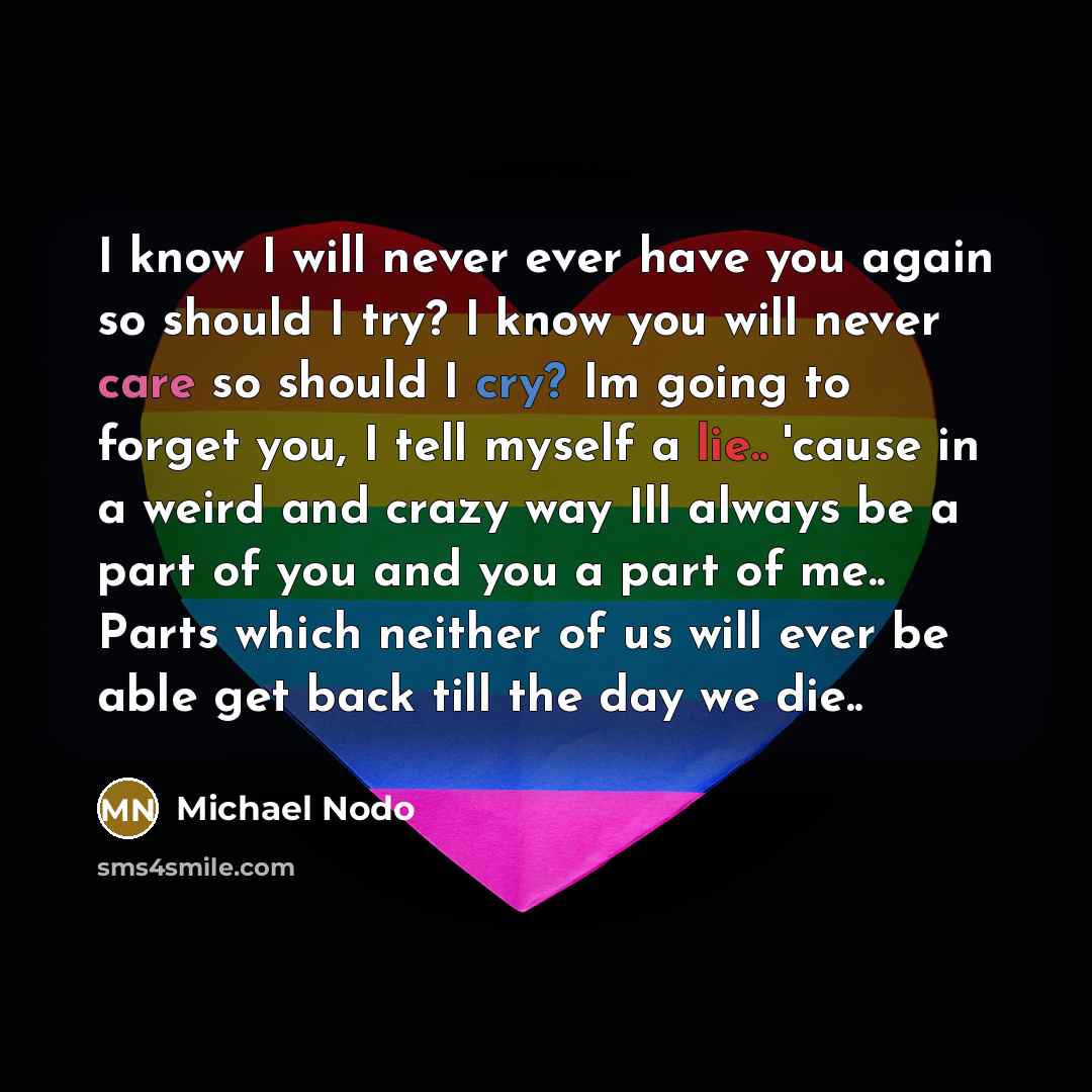 “I know I will never ever have you again so should I try? I know you will never care so should I cry? Im going to forget you, I tell myself a lie.. 'cause in a weird and crazy way Ill always be a part of you and you a part of me.. Parts which neither of us will ever be able get back till the day we…” quote by Michael Nodo