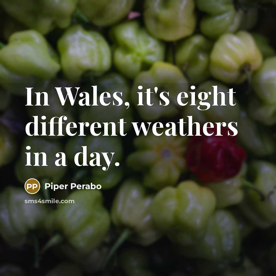 “In Wales, it's eight different weathers in a day.…” quote by Piper Perabo