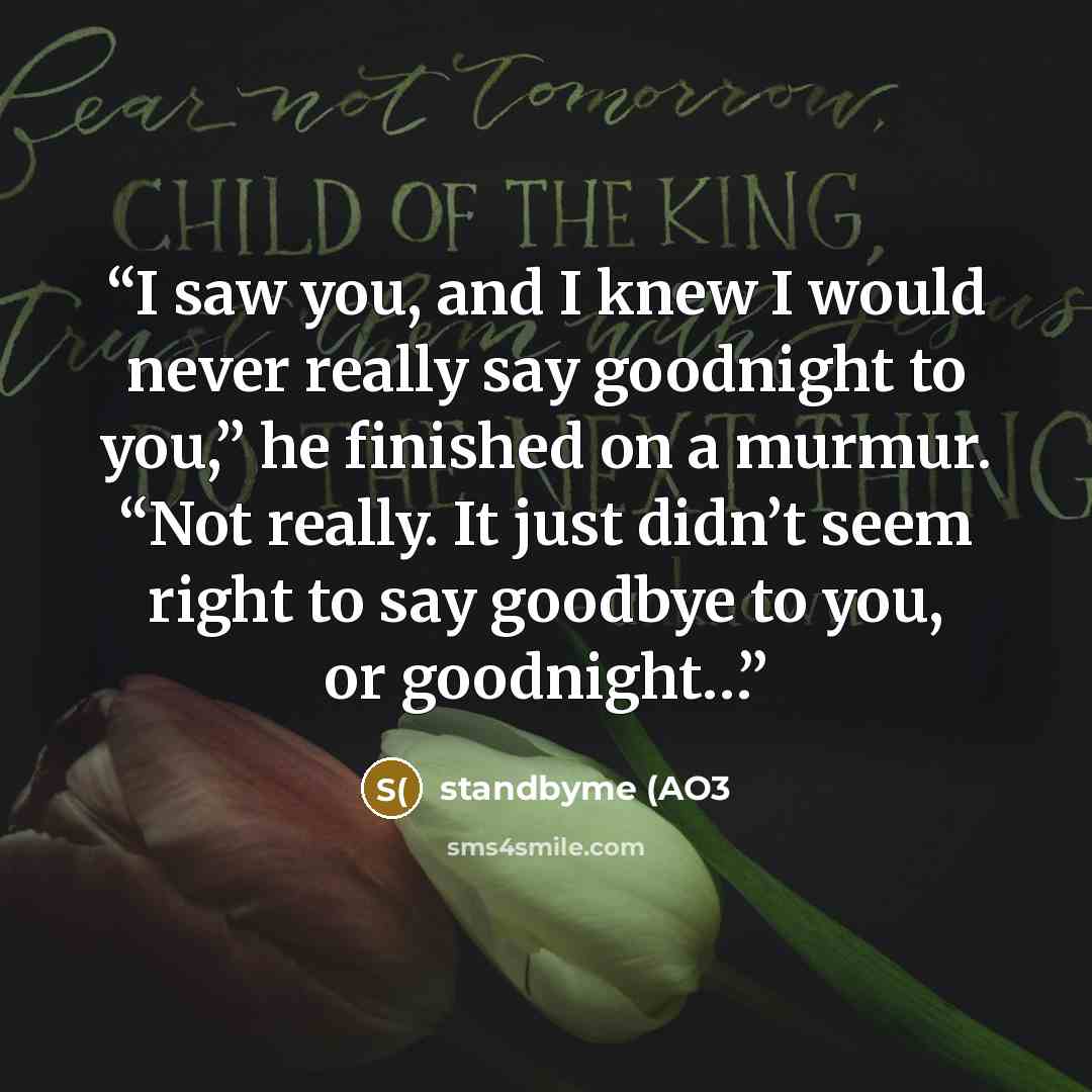 “I saw you, and I knew I would never really say goodnight to you,” he finished on a murmur. “Not really. It just didn’t seem right to say goodbye to you, or goodnight…” quote by standbyme (AO3