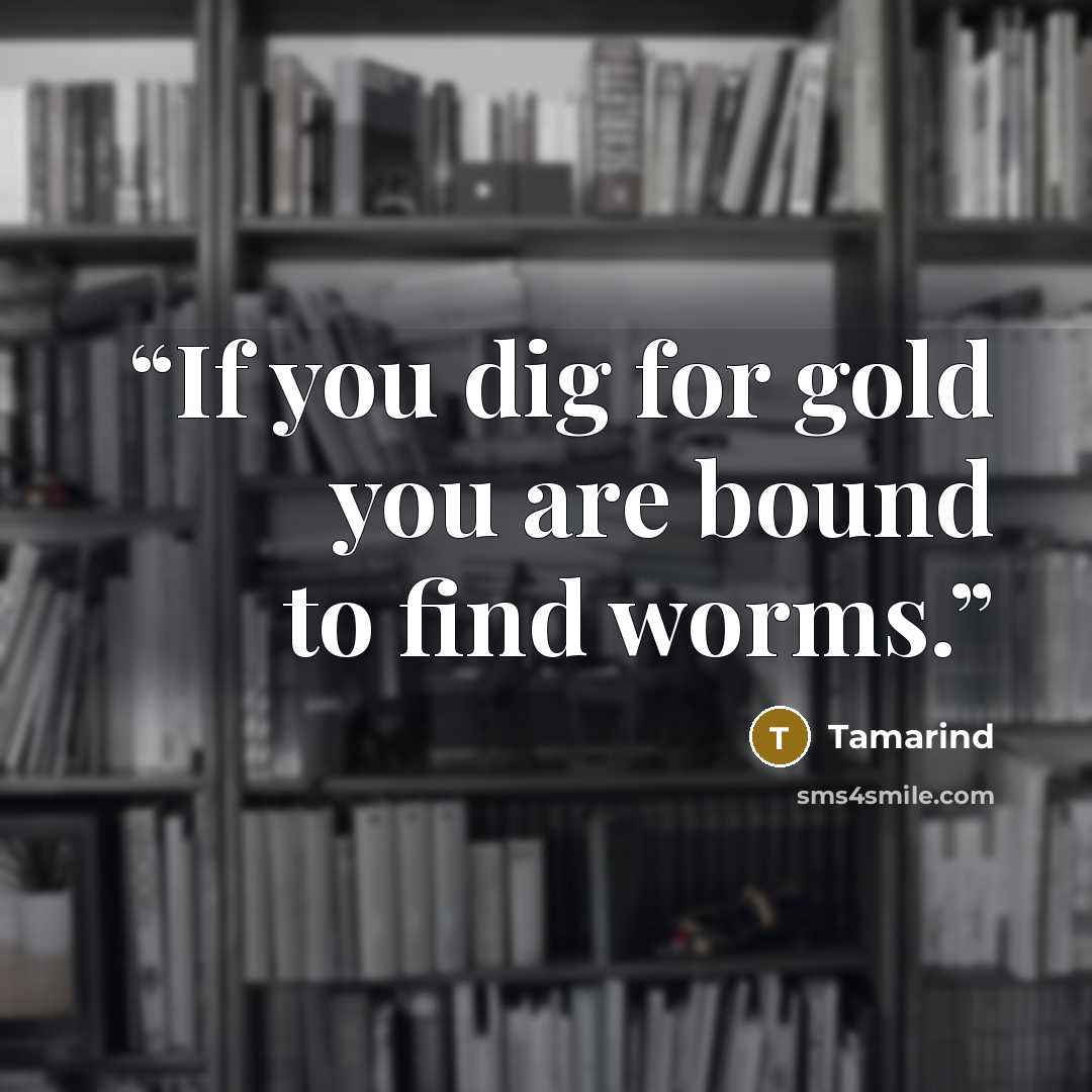 “If you dig for gold you are bound to find worms.” quote by Tamarind