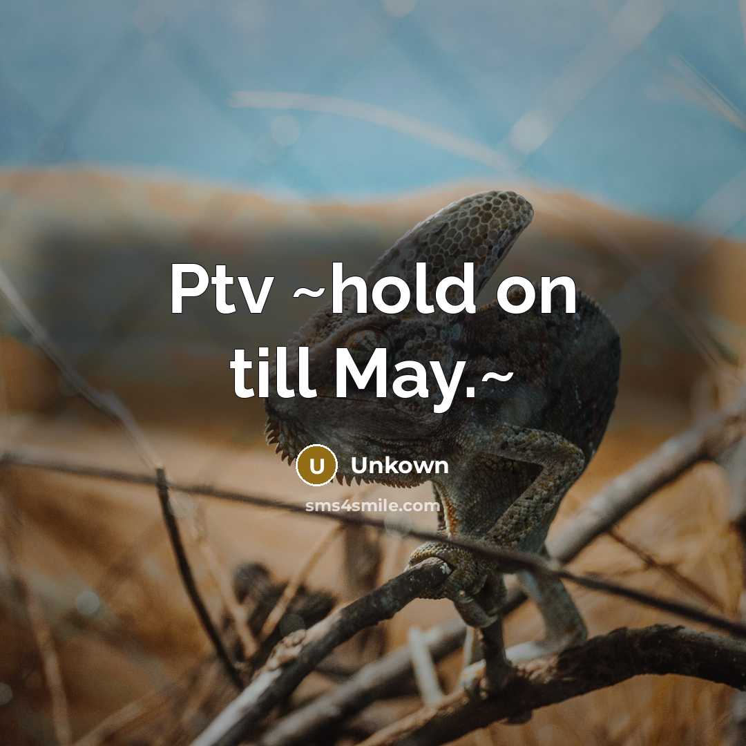 “Ptv ~hold on till May.~…” quote by Unkown