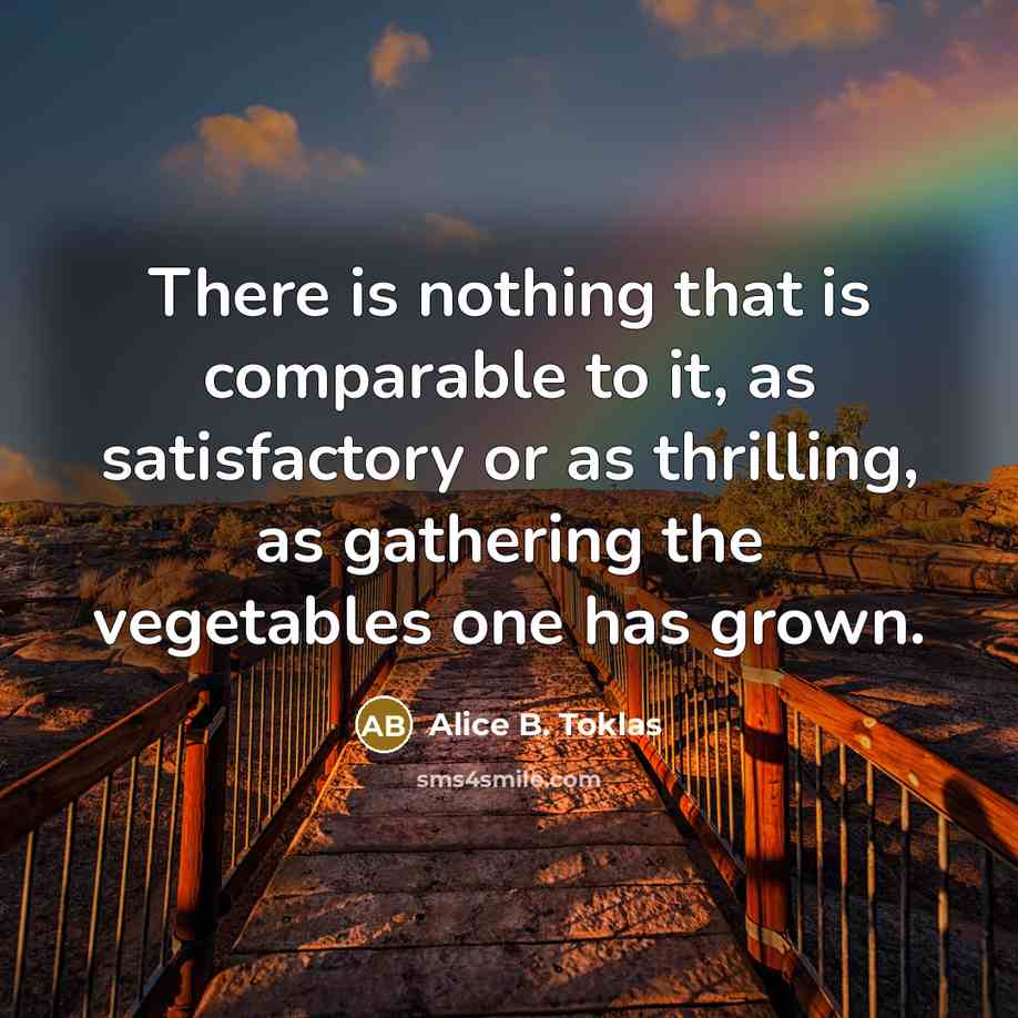 “There is nothing that is comparable to it, as satisfactory…” quote by Alice B. Toklas