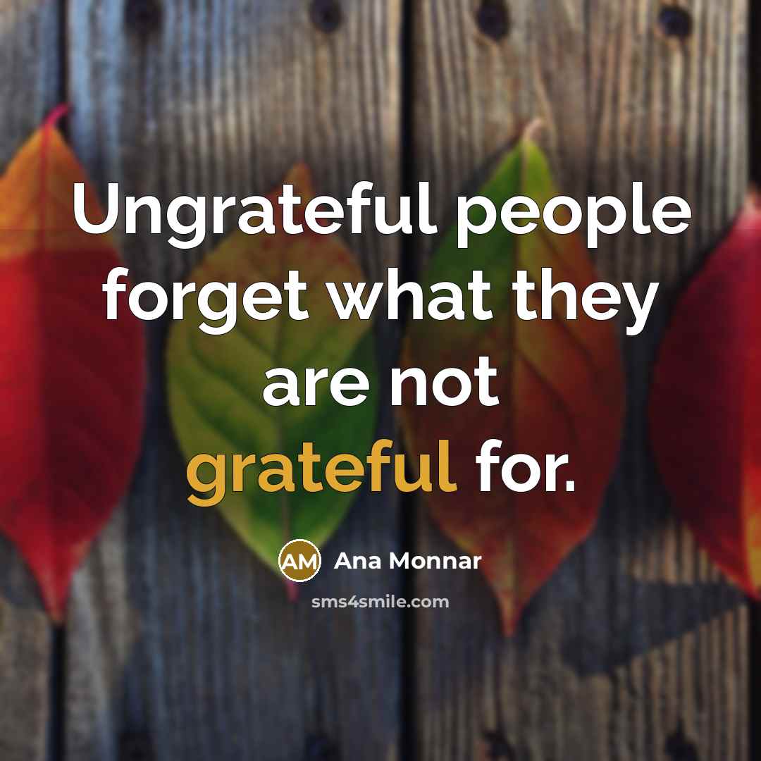 “Ungrateful people forget what they are not grateful for.…” quote by Ana Monnar
