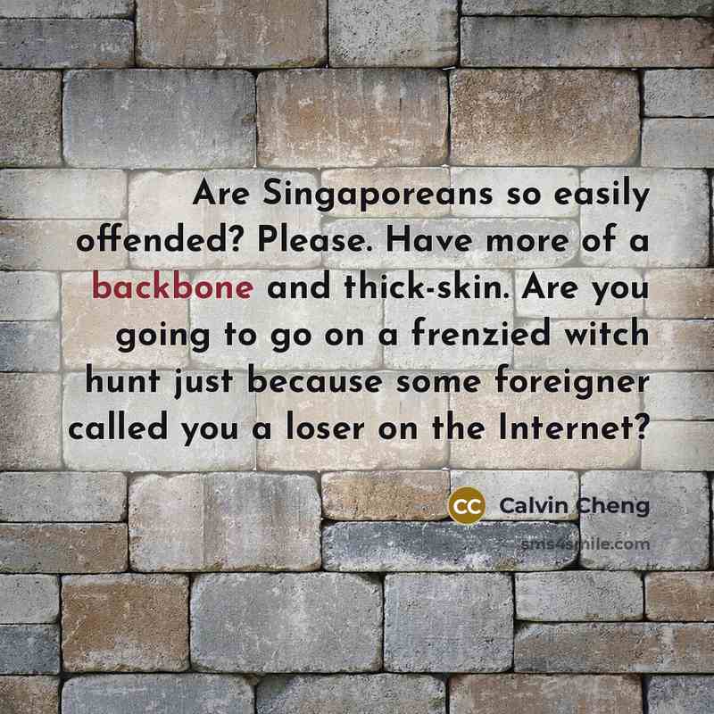 “Are Singaporeans so easily offended? Please. Have more of a…” quote by Calvin Cheng