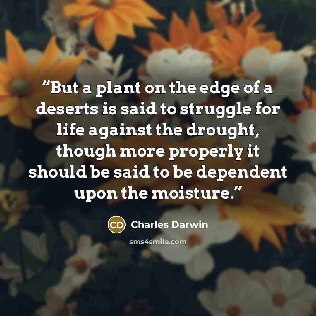 “But a plant on the edge of a deserts is said to struggle for life against the drought, though more properly it should be said to be dependent upon the moisture.” quote by Charles Darwin