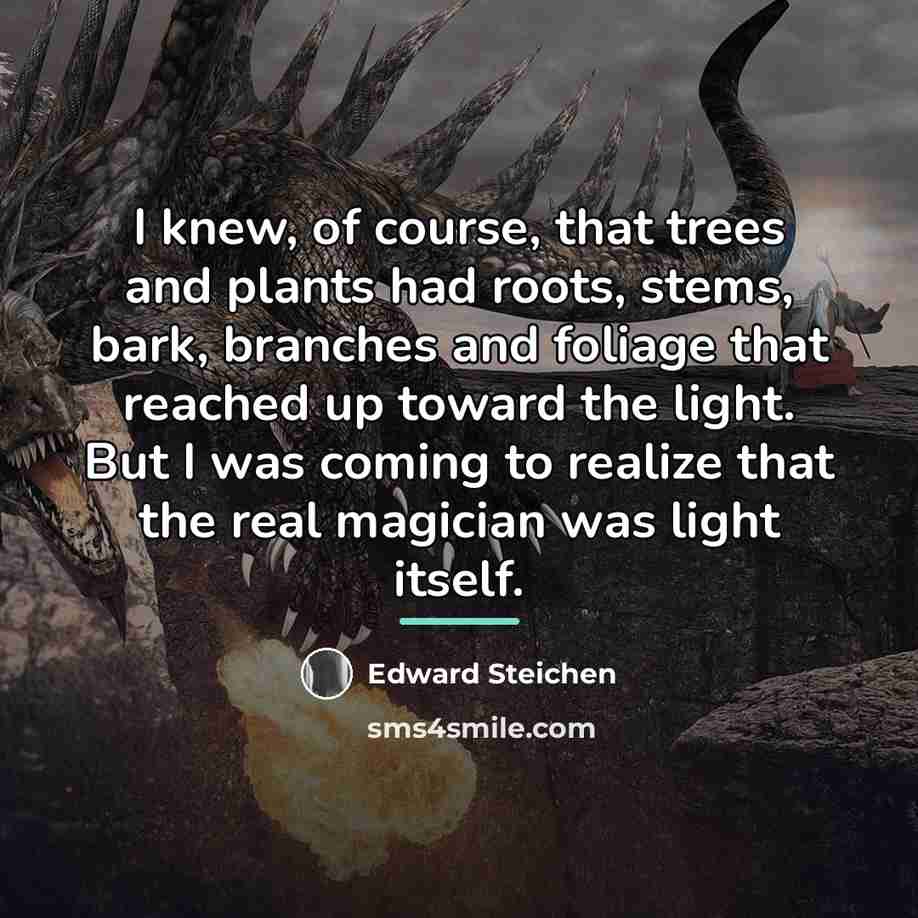“I knew, of course, that trees and plants had roots,…” quote by Edward Steichen