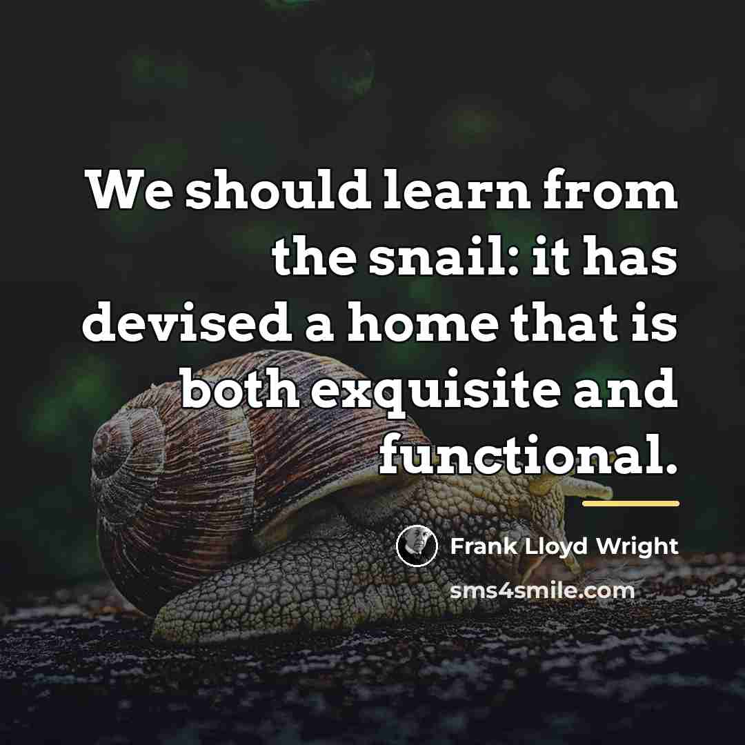 “We should learn from the snail: it has devised a…” quote by Frank Lloyd Wright