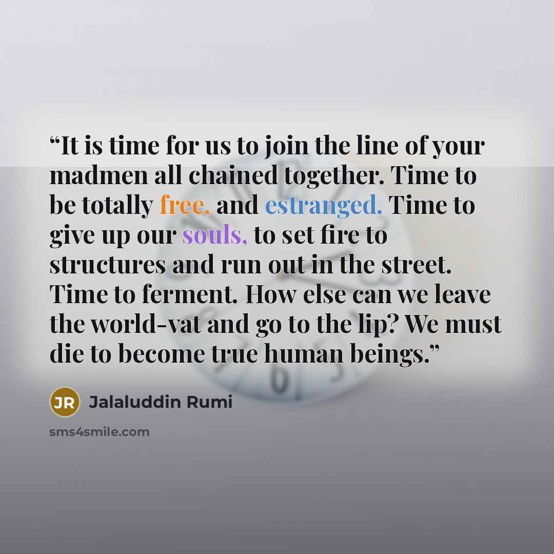 “It is time for us to join the line of your madmen all chained together. Time to be totally free, and estranged. Time to give up our souls, to set fire to structures and run out in the street. Time to ferment. How else can we leave the world-vat and go to the lip? We must die to become true human…” quote by Jalaluddin Rumi