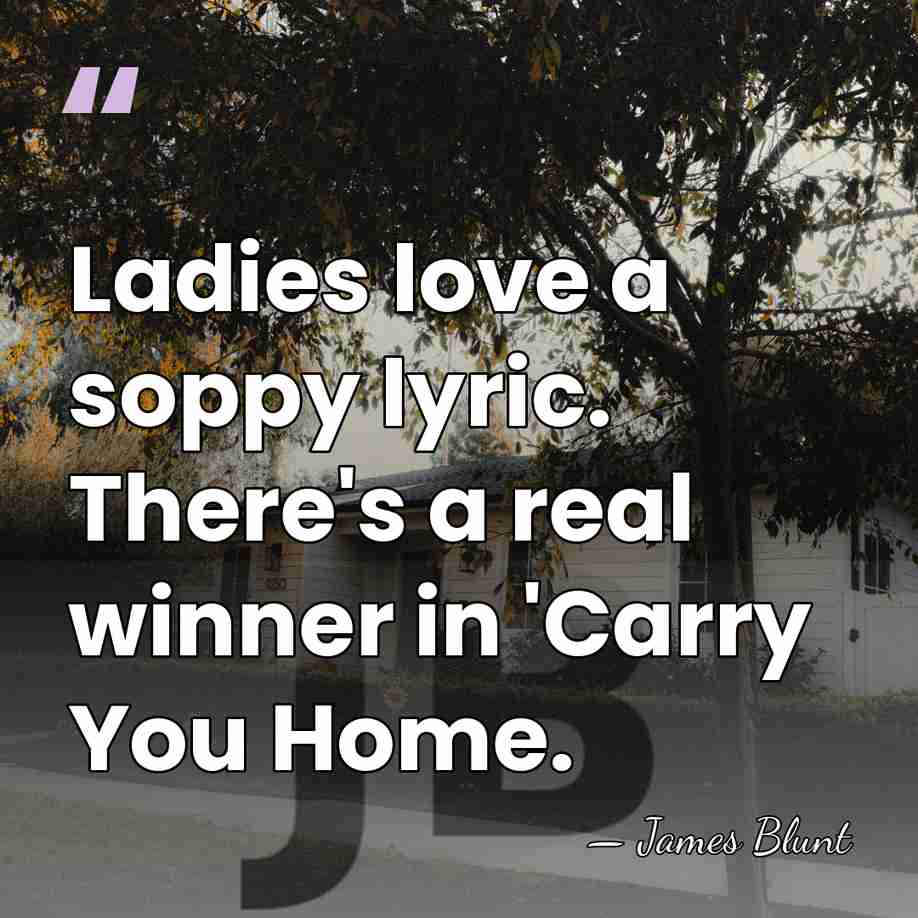 Ladies love a soppy lyric. There's a real winner in 'Carry You&hellip; - James Blunt