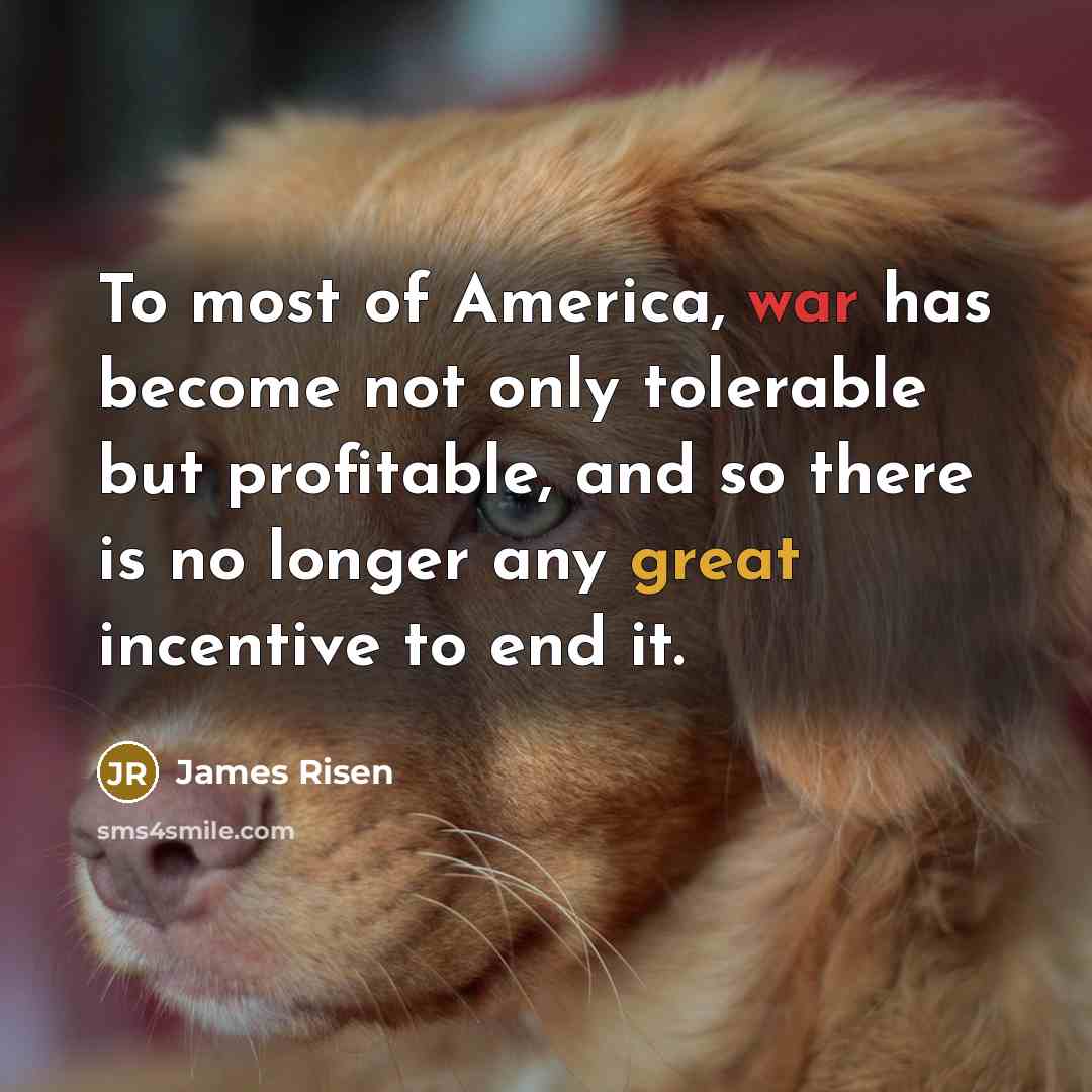 “To most of America, war has become not only tolerable…” quote by James Risen