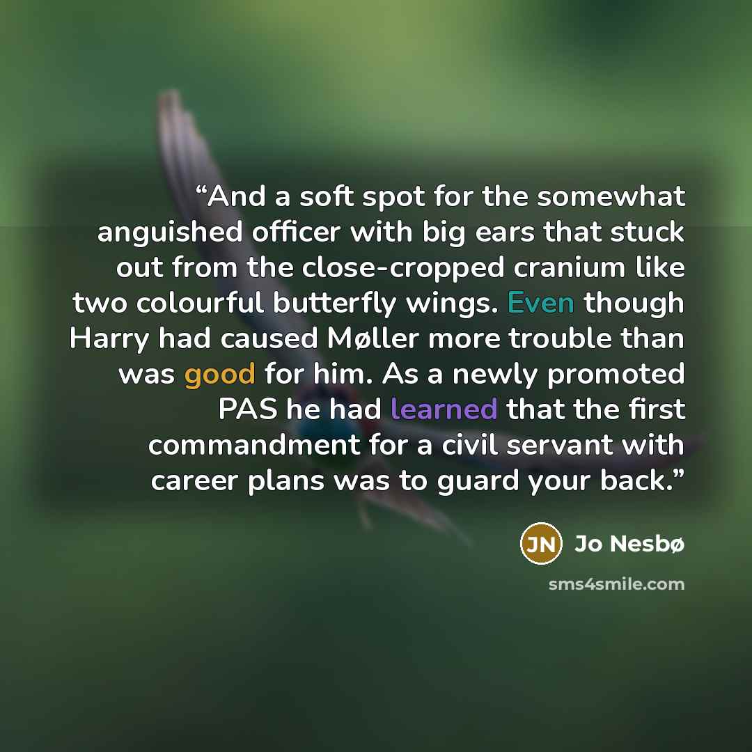 “And a soft spot for the somewhat anguished officer with big ears that stuck out from the close-cropped cranium like two colourful butterfly wings. Even though Harry had caused Møller more trouble than was good for him. As a newly promoted PAS he had learned that the first commandment for a civil…” quote by Jo Nesbø