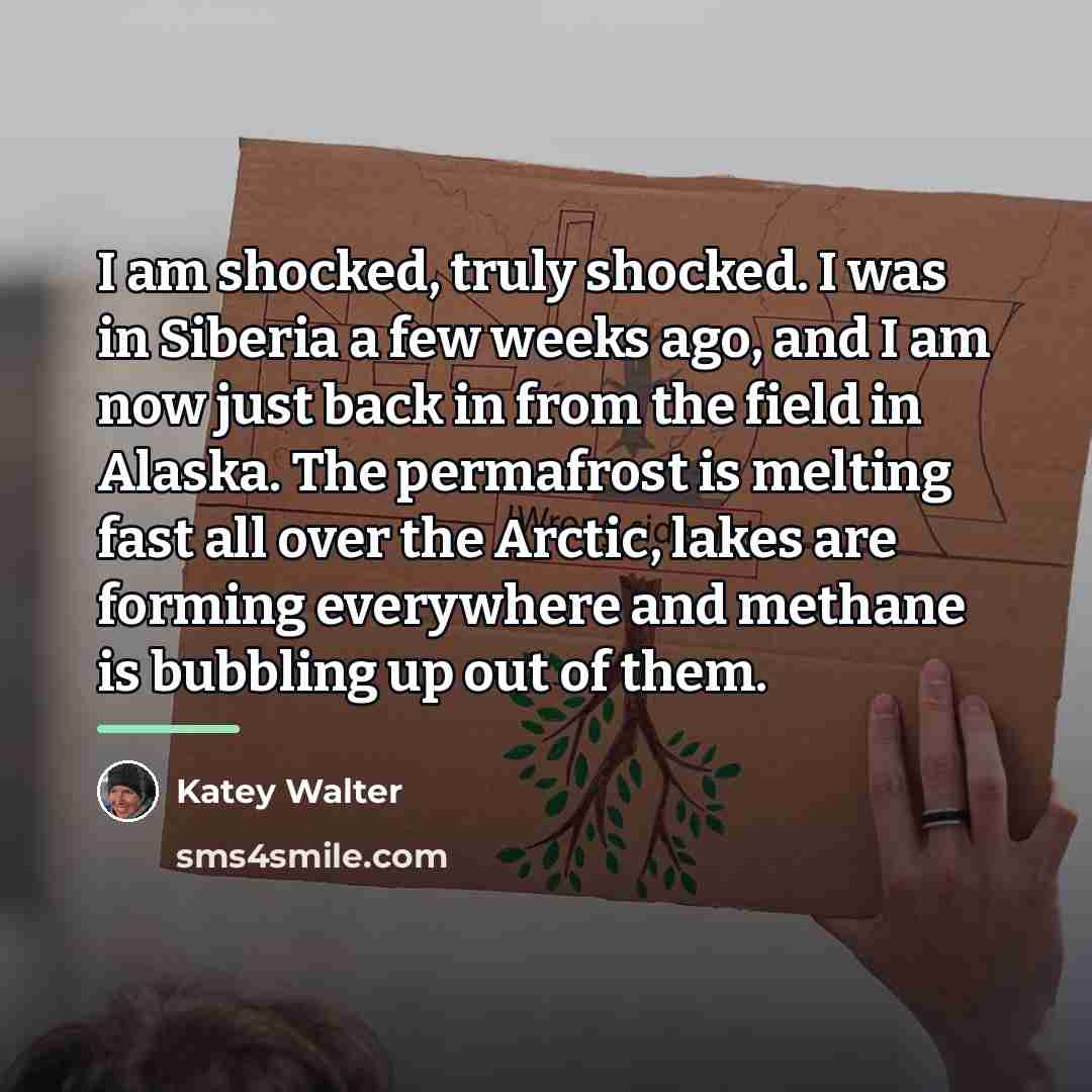 “I am shocked, truly shocked. I was in Siberia a…” quote by Katey Walter