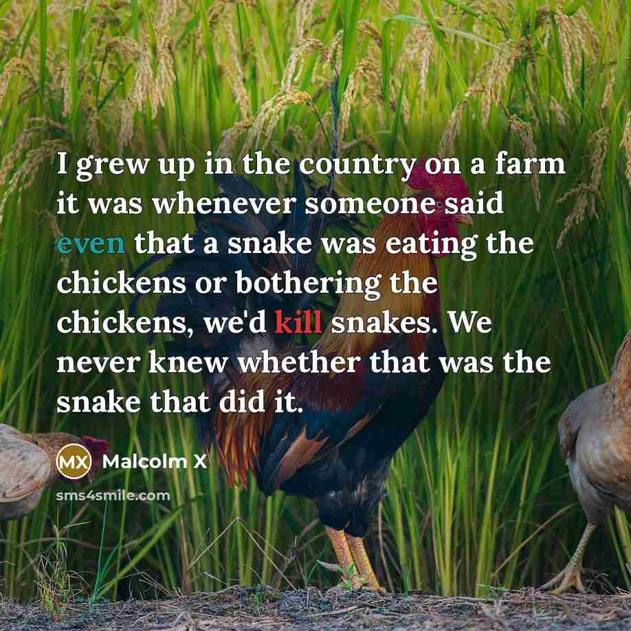 “I grew up in the country on a farm it…” quote by Malcolm X