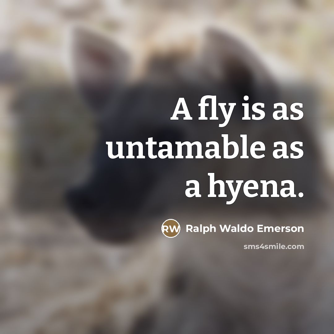 “A fly is as untamable as a hyena.…” quote by Ralph Waldo Emerson