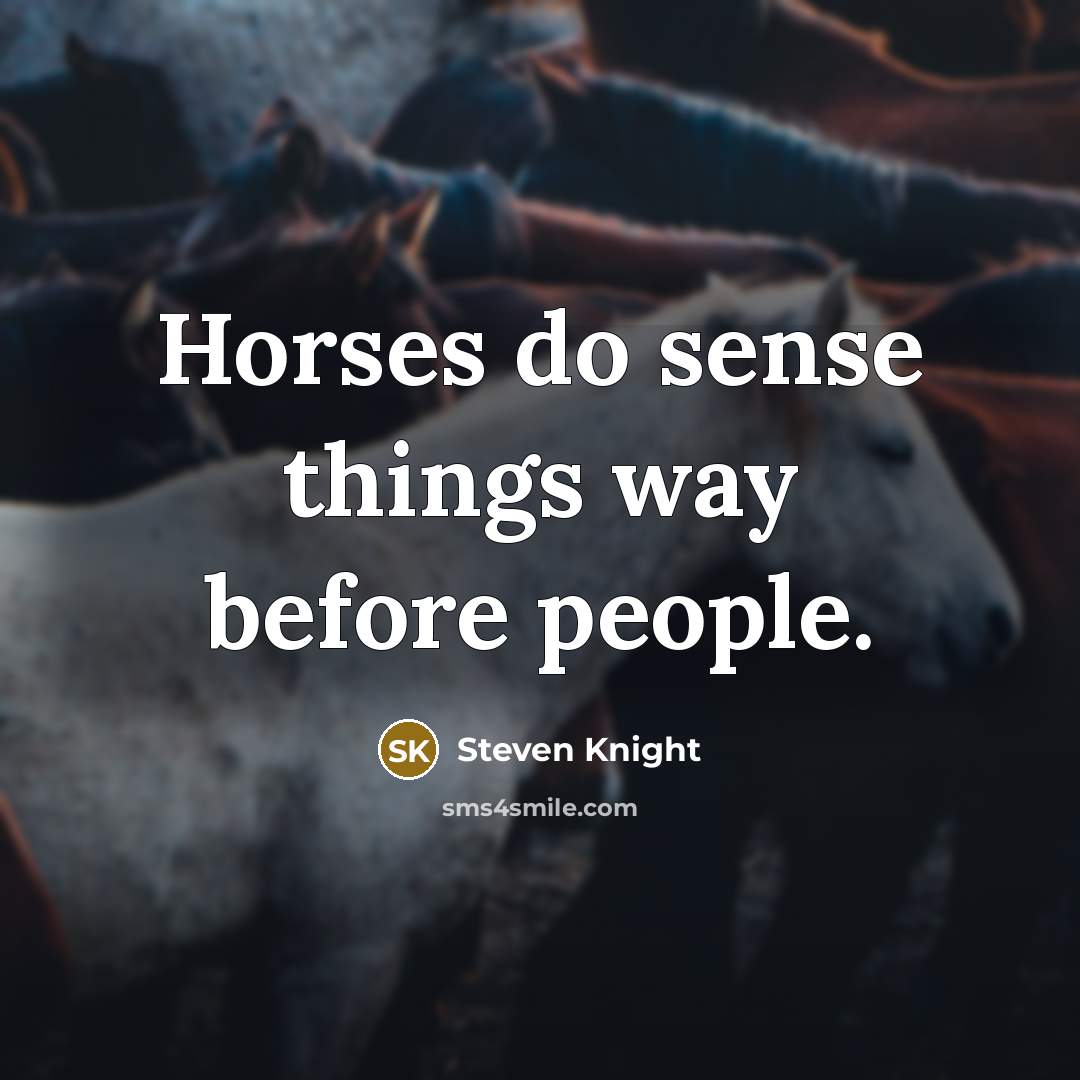 “Horses do sense things way before people.…” quote by Steven Knight