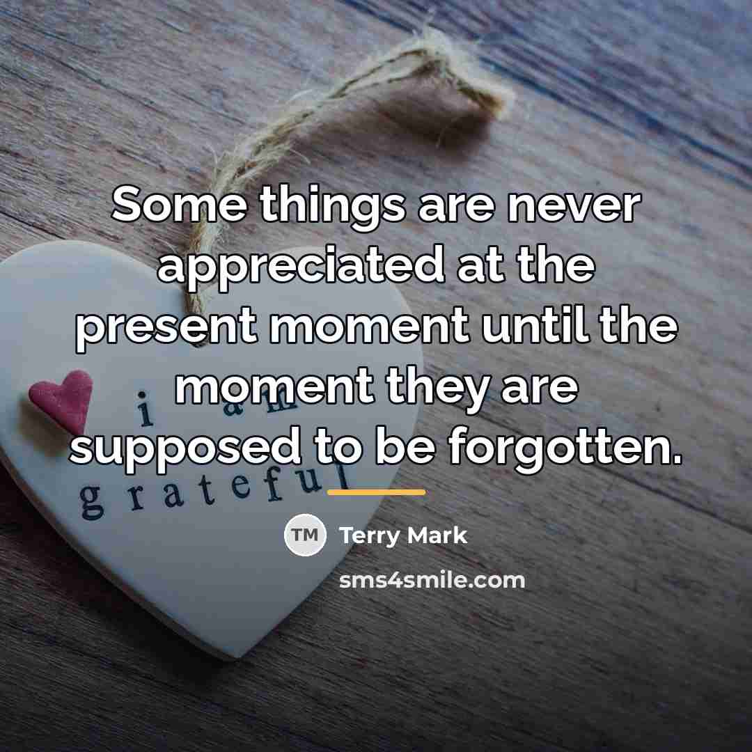 “Some things are never appreciated at the present moment until…” quote by Terry Mark