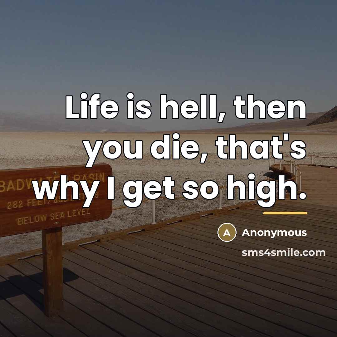 “Life is hell, then you die, that's why I get…” quote by Anonymous