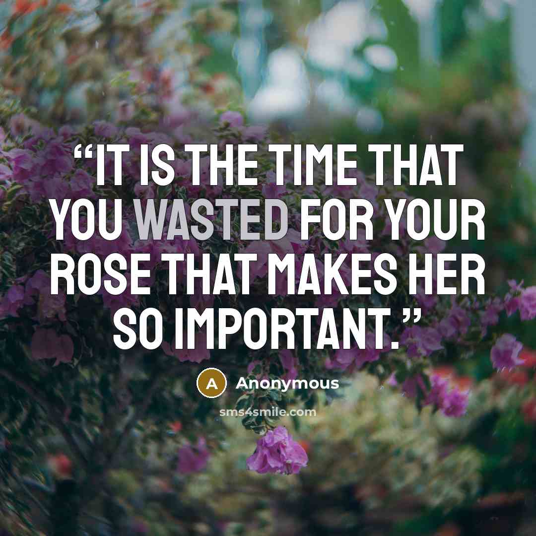 “It is the time that you wasted for your rose that makes her so important.” quote by Anonymous