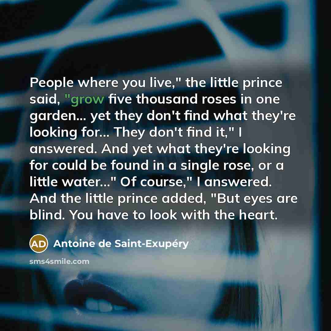 “People where you live," the little prince said, "grow five…” quote by Antoine de Saint-Exupery