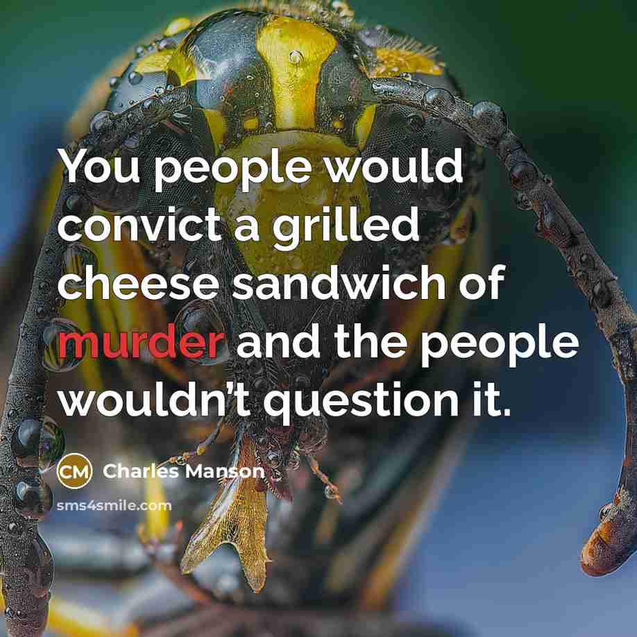 “You people would convict a grilled cheese sandwich of murder…” quote by Charles Manson