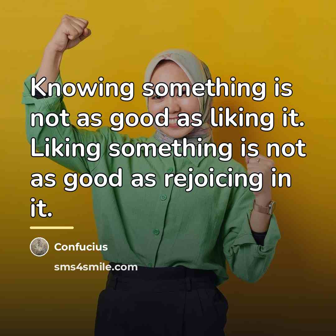“Knowing something is not as good as liking it. Liking…” quote by Confucius