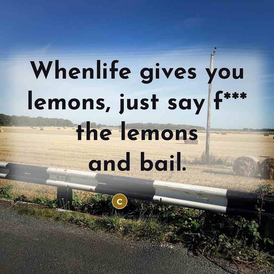 “Whenlife gives you lemons, just say f*** the lemons and bail.” quote by Crystal