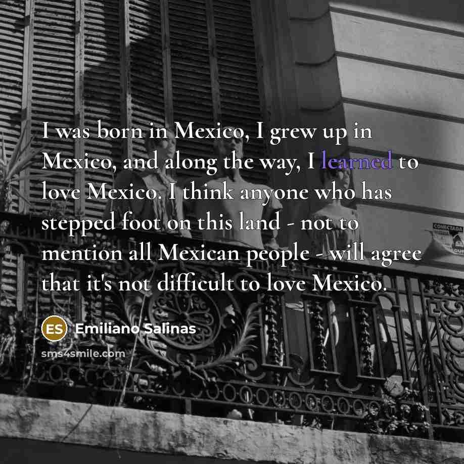 “I was born in Mexico, I grew up in Mexico,…” quote by Emiliano Salinas