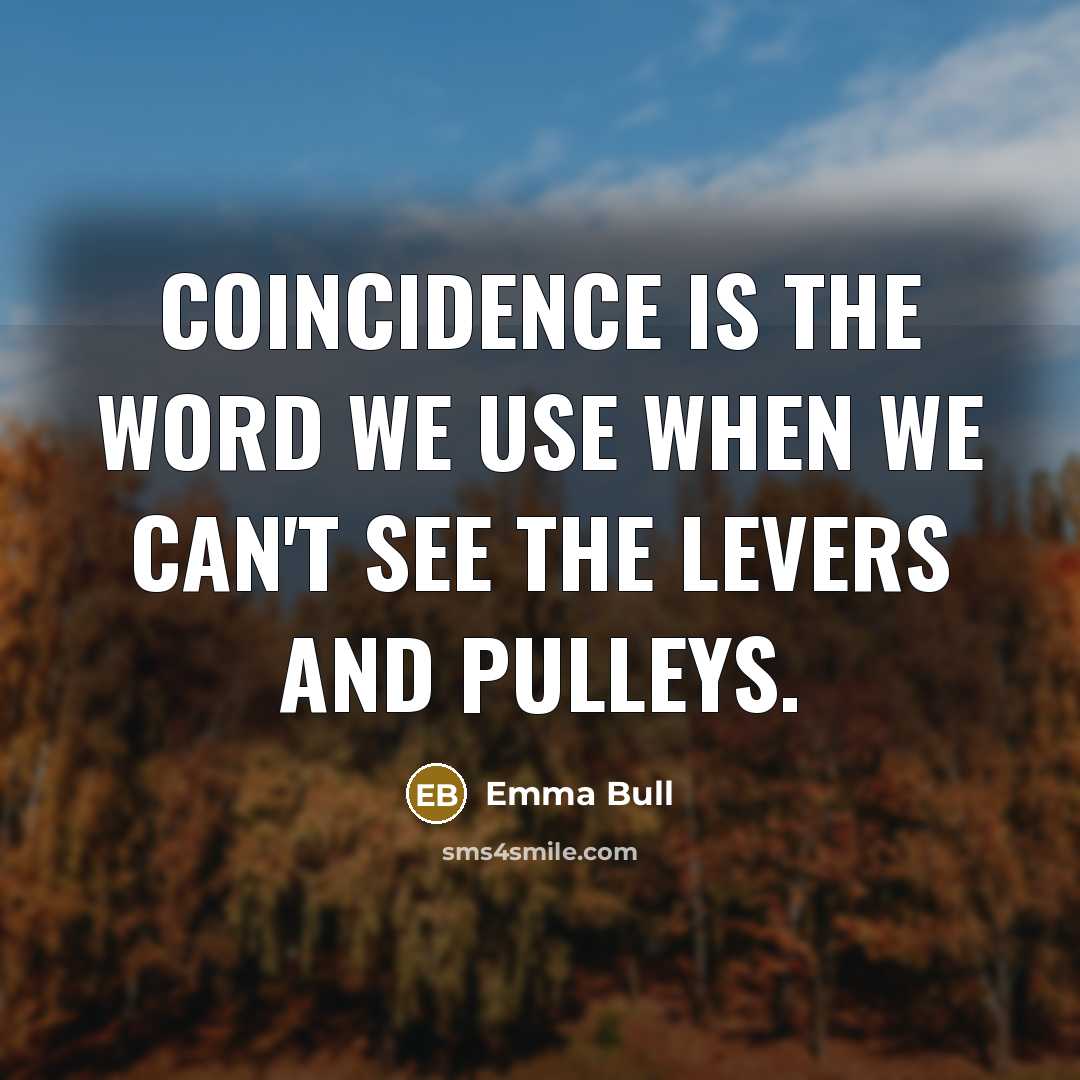“Coincidence is the word we use when we can't see…” quote by Emma Bull