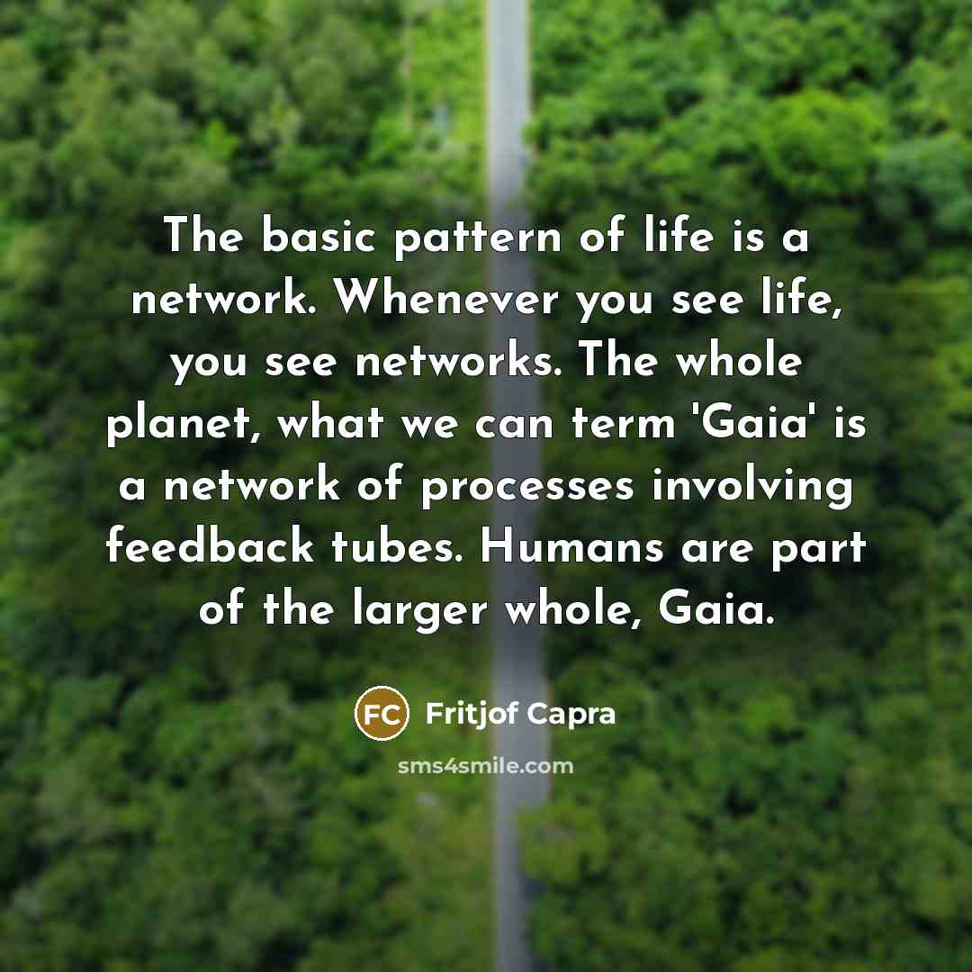 “The basic pattern of life is a network. Whenever you…” quote by Fritjof Capra
