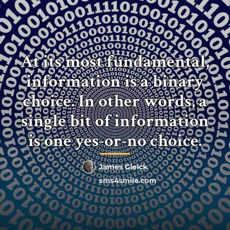 “At its most fundamental, information is a binary choice. In…” quote by James Gleick
