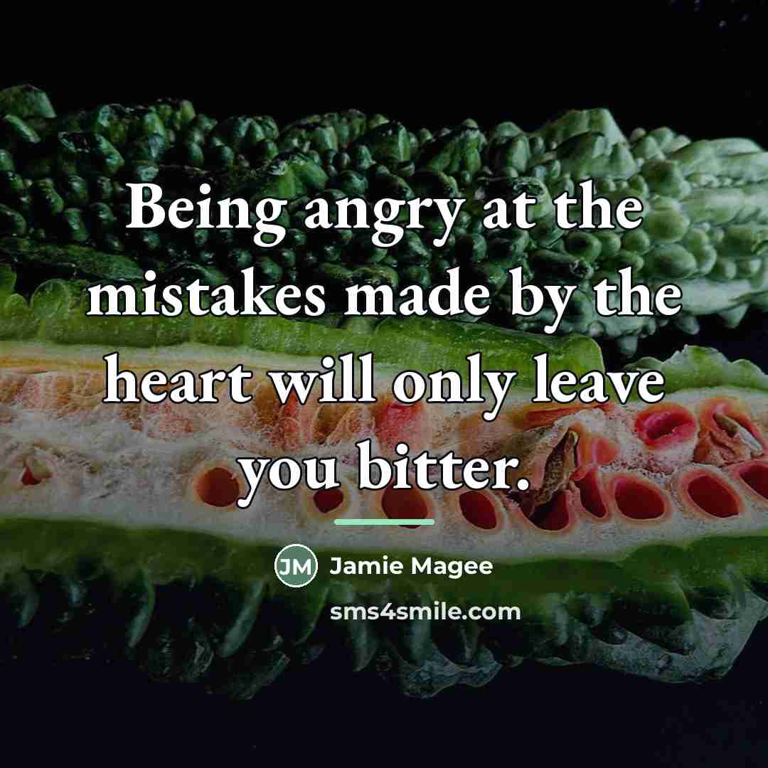 “Being angry at the mistakes made by the heart will…” quote by Jamie Magee