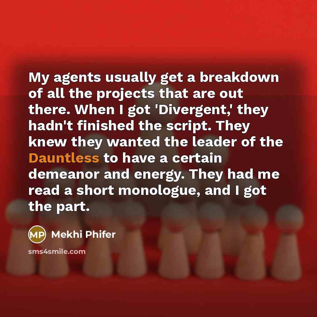 “My agents usually get a breakdown of all the projects…” quote by Mekhi Phifer