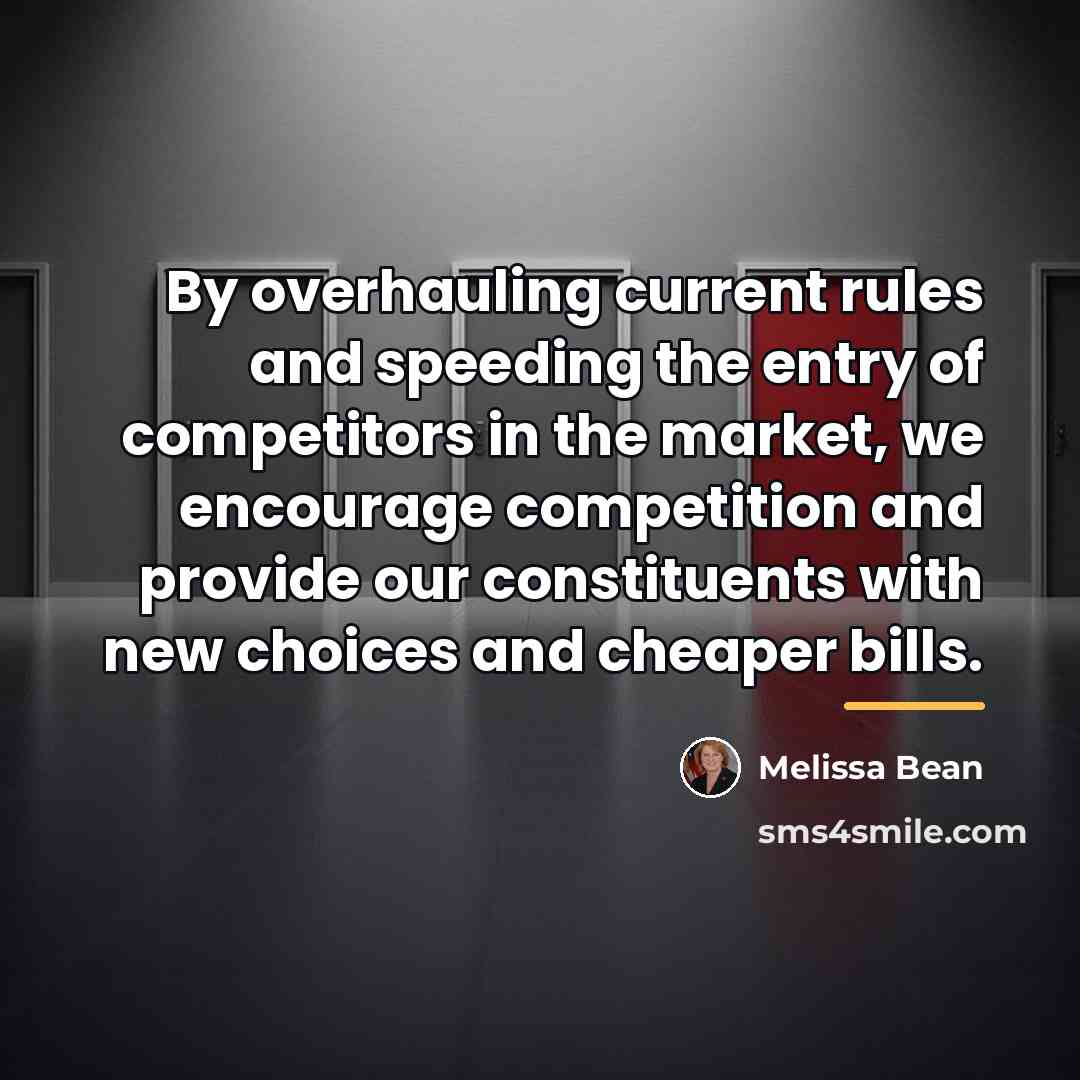 “By overhauling current rules and speeding the entry of competitors…” quote by Melissa Bean