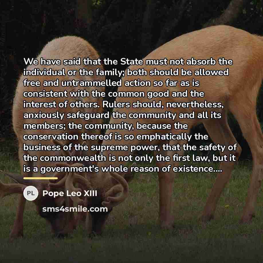 “We have said that the State must not absorb the…” quote by Pope Leo XIII