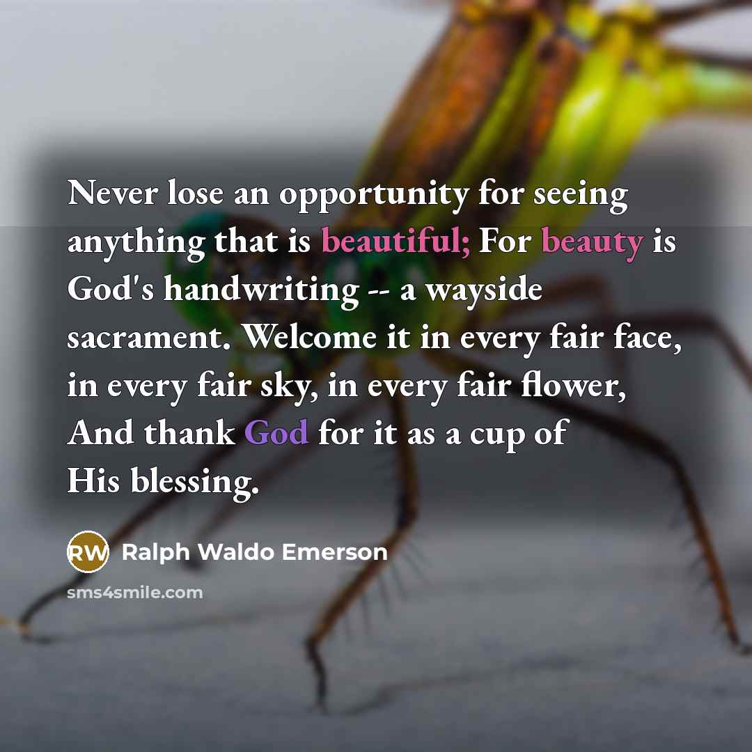 “Never lose an opportunity for seeing anything that is beautiful; For beauty is God's handwriting -- a wayside sacrament. Welcome it in every fair face, in every fair sky, in every fair flower, And thank God for it as a cup of His blessing.” quote by Ralph Waldo Emerson
