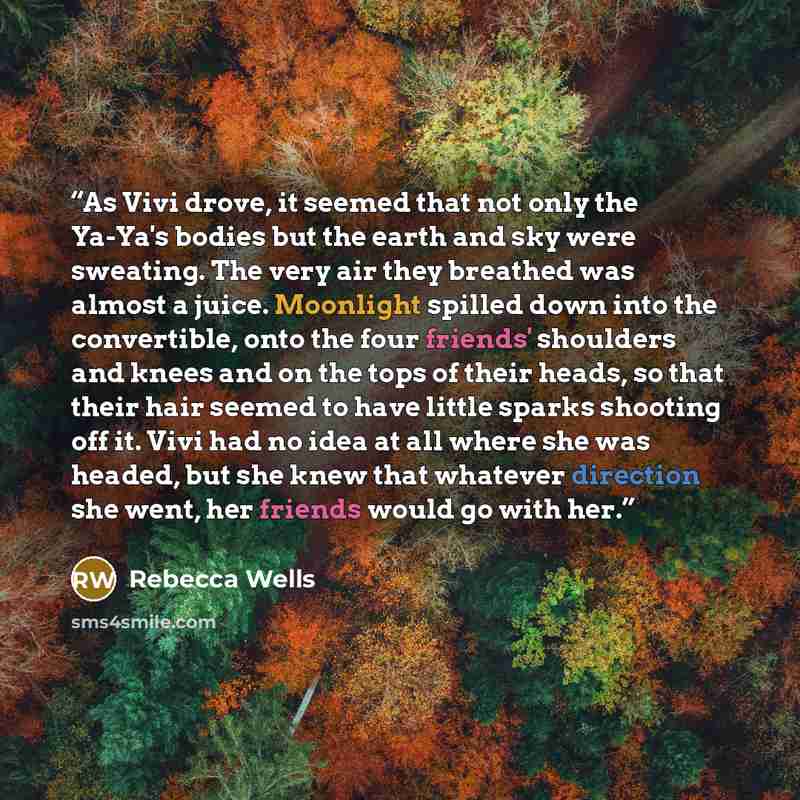 “As Vivi drove, it seemed that not only the Ya-Ya's bodies but the earth and sky were sweating. The very air they breathed was almost a juice. Moonlight spilled down into the convertible, onto the four friends' shoulders and knees and on the tops of their heads, so that their hair seemed to have…” quote by Rebecca Wells