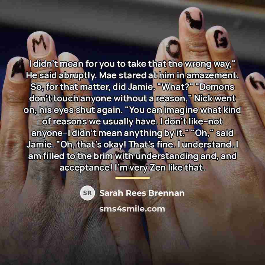 “I didn't mean for you to take that the wrong…” quote by Sarah Rees Brennan