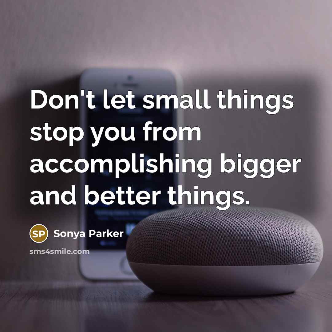 “Don't let small things stop you from accomplishing bigger and…” quote by Sonya Parker