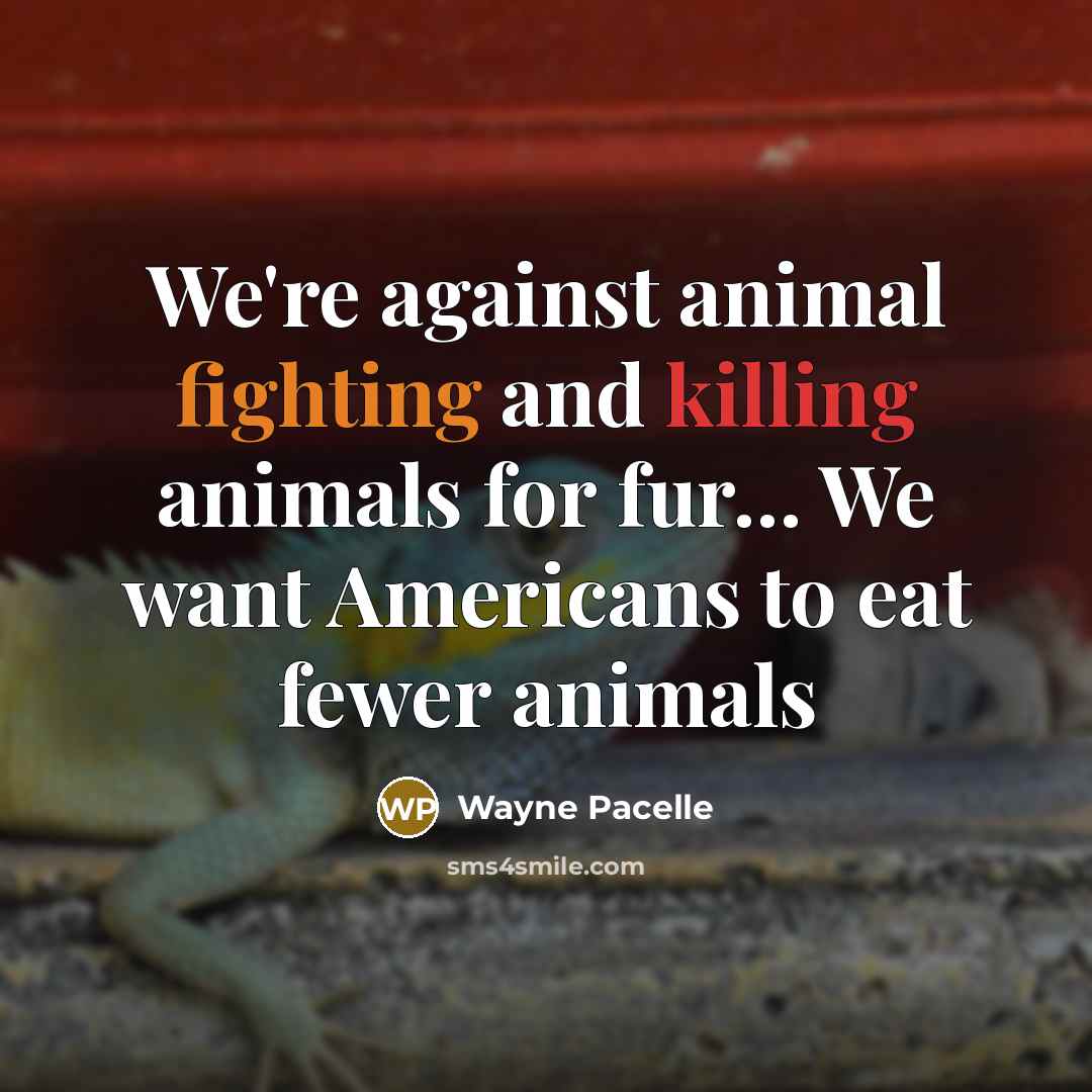 “We're against animal fighting and killing animals for fur.... We…” quote by Wayne Pacelle