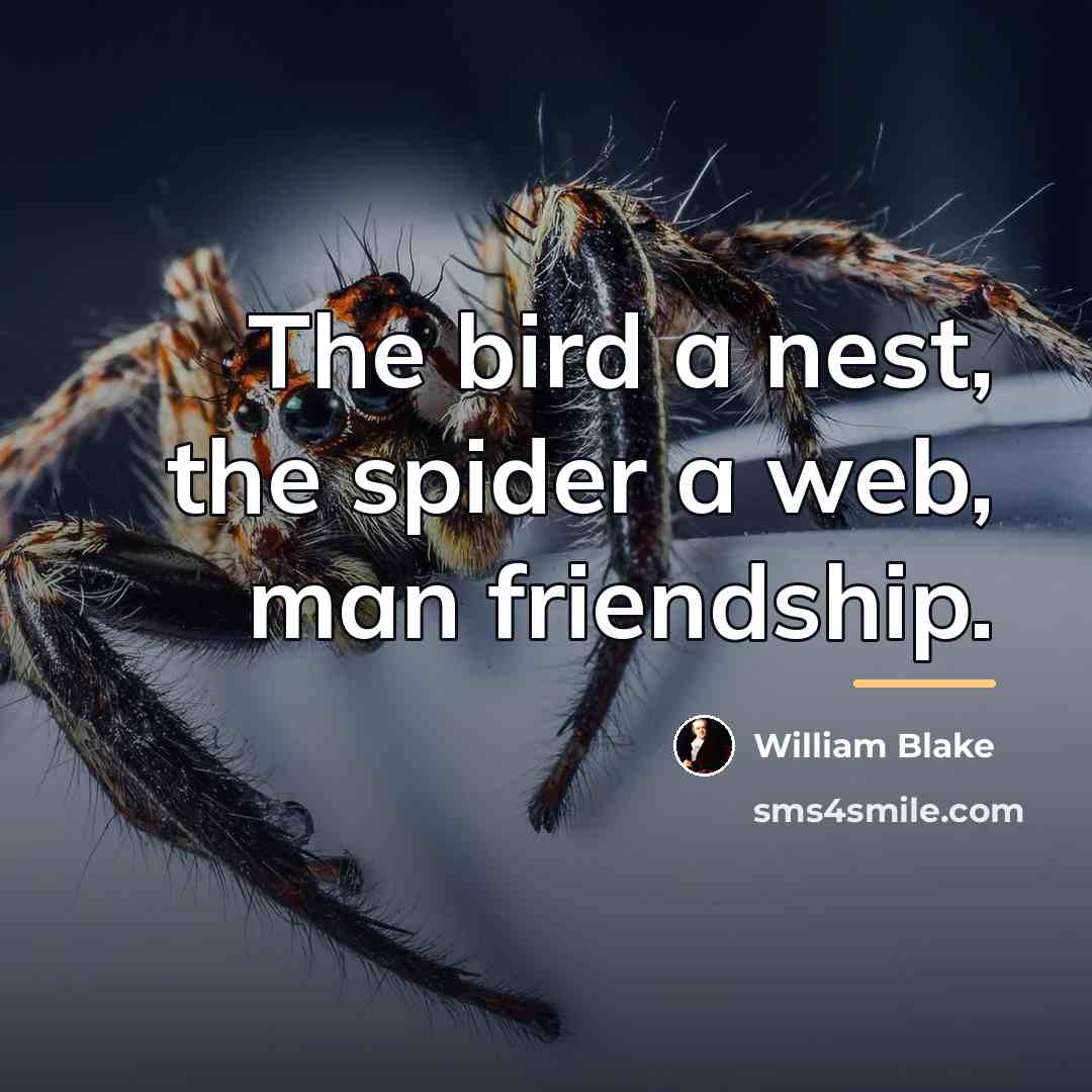 “The bird a nest, the spider a web, man friendship.…” quote by William Blake