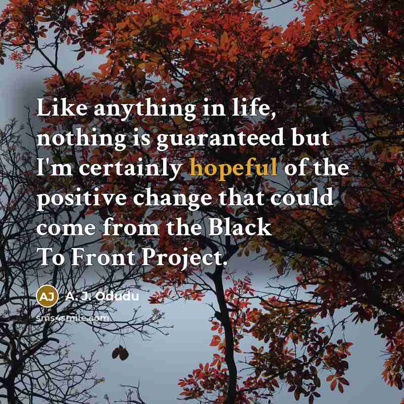 “Like anything in life, nothing is guaranteed but I'm certainly…” quote by A. J. Odudu