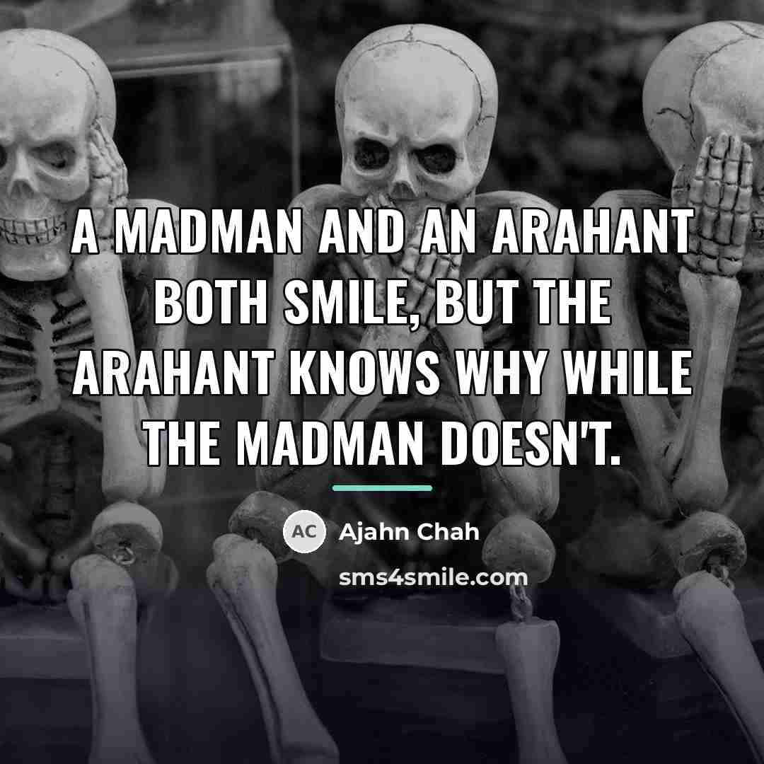 “A madman and an arahant both smile, but the arahant…” quote by Ajahn Chah