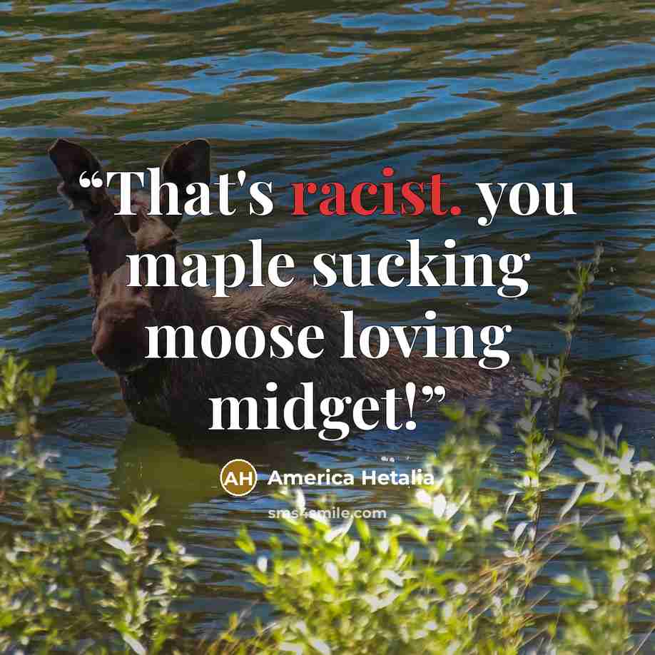 “That's racist. you maple sucking moose loving midget!” quote by America Hetalia