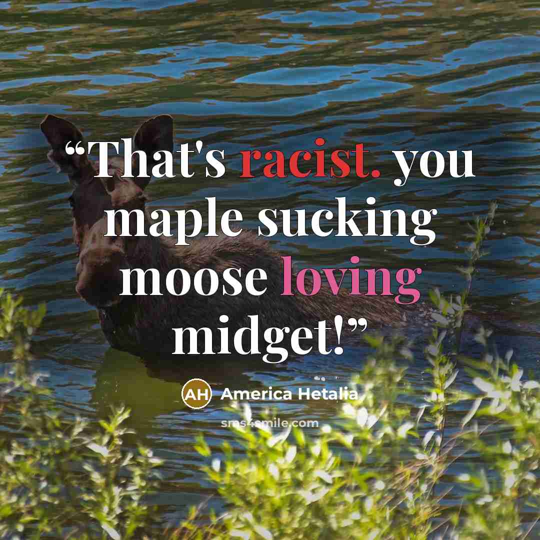 “That's racist. you maple sucking moose loving midget!” quote by America Hetalia