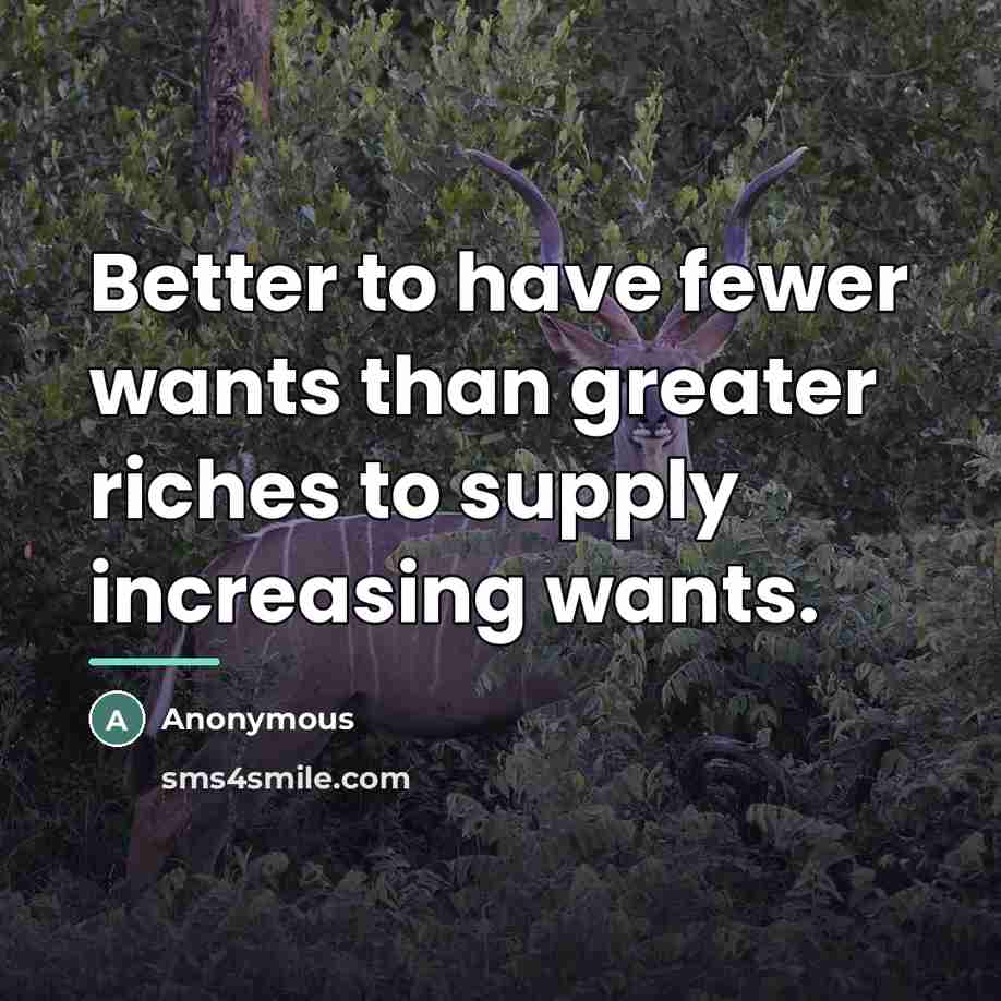 “Better to have fewer wants than greater riches to supply…” quote by Anonymous